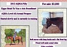 Appendix - Horse for Sale in Hurley, WI 54534