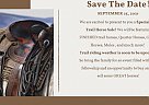 Quarter Horse - Horse for Sale in Beaverton, AL 35544
