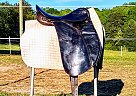 2015 Other Horse Saddle in Advance, North Carolina